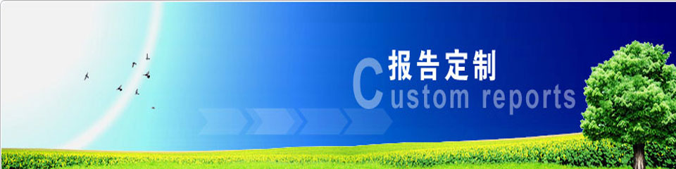 研究报告